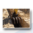 Trenching and Excavation